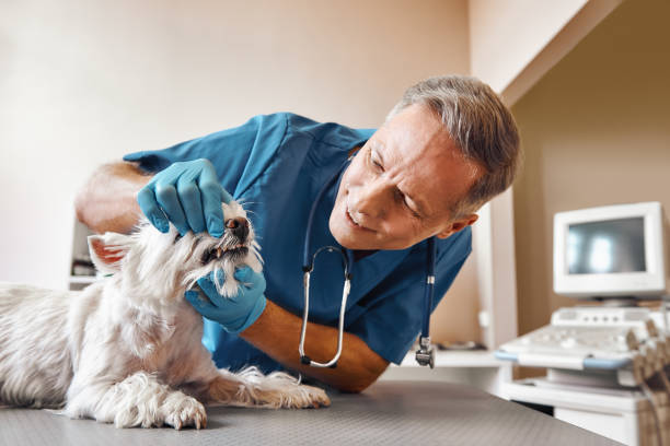 Best Emergency Care for Gum Disease in Munfordville, KY